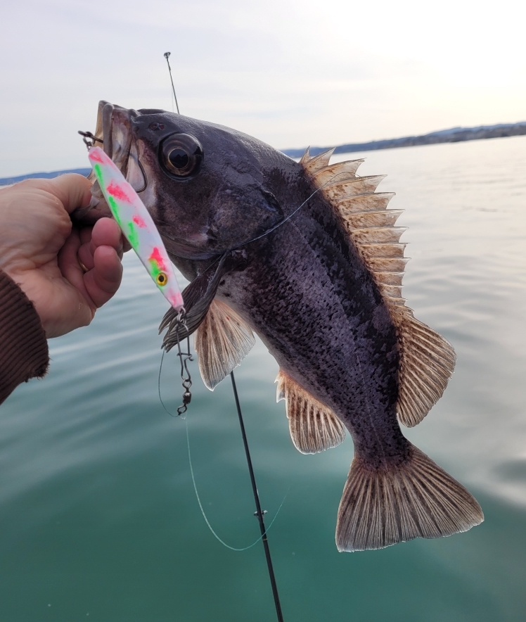 Fishing Gear You Can Trust - Coastal Crust Tackle